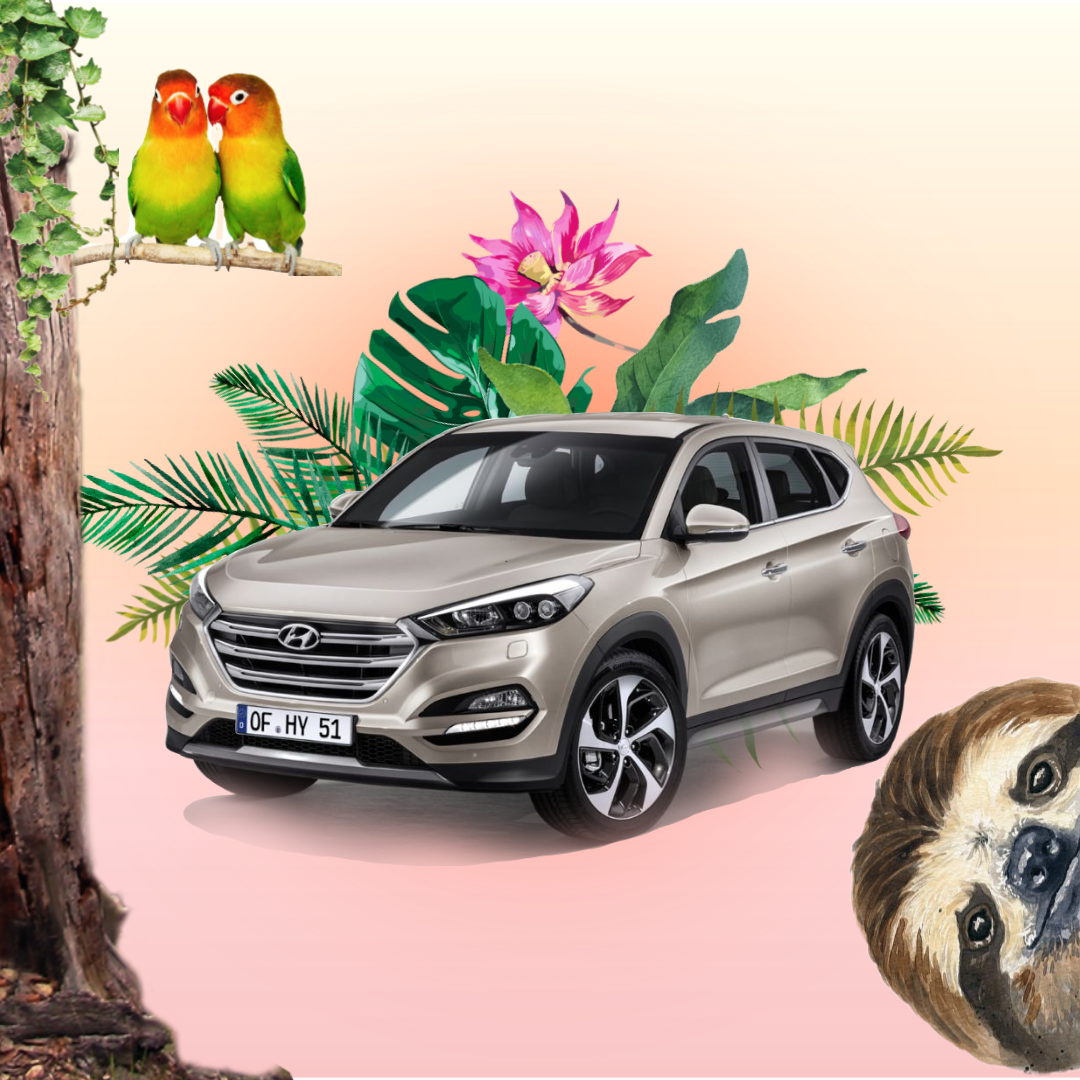 Alquiler de coche barato