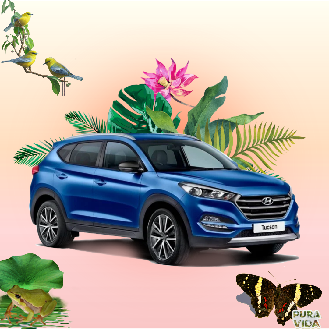Car hire insurence
