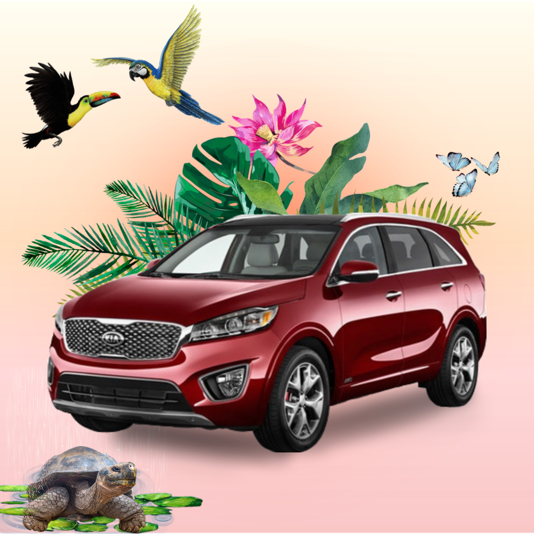 Get car on rent